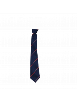 Parmiter’s School Tie