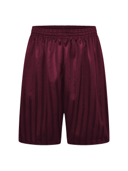 Burgundy Shadow Stripe P.E Shorts