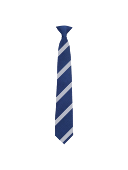 Little Reddings School Tie